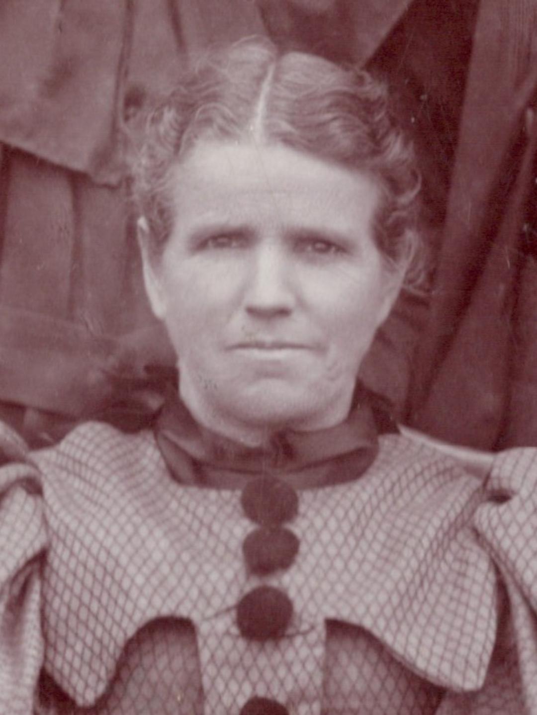 Comfort Jolley (1845 - 1928) Profile